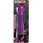 BAILE - VIBRATEUR MULTIVITESSES LILAS