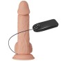 BAILE - BELLISSIMO INCONTRO VIBRAZIONE CATOBLEPAS 20.6 CM NATURALE