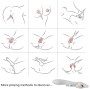 ARMONY - ELK VIBRADOR COELHO CURVADO VERMELHO