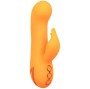 CALEXOTICS - MONTECITO MUSE VIBRADOR COELHO LARANJA POR CALIFORNIA DREAMING