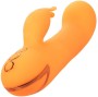 CALEXOTICS - MONTECITO MUSE VIBRADOR COELHO LARANJA POR CALIFORNIA DREAMING