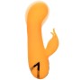 CALEXOTICS - MONTECITO MUSE VIBRADOR COELHO LARANJA POR CALIFORNIA DREAMING