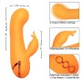 CALEXOTICS - MONTECITO MUSE VIBRADOR COELHO LARANJA POR CALIFORNIA DREAMING