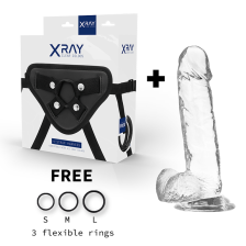 X RAY - HARNESS + CLEAR COCK WITH BALLS 20 CM -O- 4.5 CM