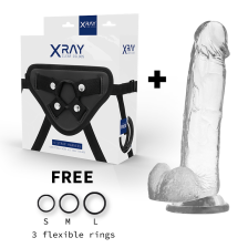 X RAY - HARNESS + COCK WITH BALLS 22 CM -O- 4.6 CM