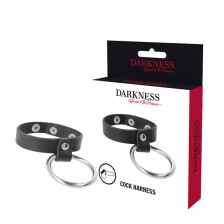 DARKNESS - ANNEAU...
