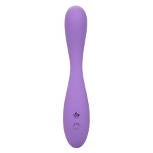 CALEXOTICS - CONTOUR DEMI VIOLET