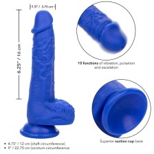 CALEXOTICS - ADMIRAL VIBRATEUR GODE RÉALISTE SAILOR BLEU