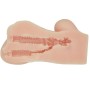 CRAZY BULL - VIBRADOR REALISTA DE VAGINA E NUS HANNAH