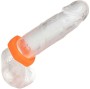 CALEXOTICS - ALPHA BAGUE PROLONG SEXAGON ORANGE