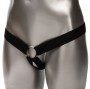 CALEXOTICS - PERFORMANCE MAXX EXTENSION MIT GURT, BRAUN