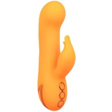 CALEXOTICS - MONTECITO MUSE VIBRATOR RABBIT ORANGE VON CALIFORNIA DREAMING