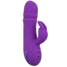 CALEXOTICS - MANHATTAN BEACH MARVEL VIBRATOR RABBIT PURPLE BY CALIFORNIA DREAMING