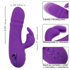 CALEXOTICS - MANHATTAN BEACH MARVEL VIBRATOR RABBIT PURPLE BY CALIFORNIA DREAMING