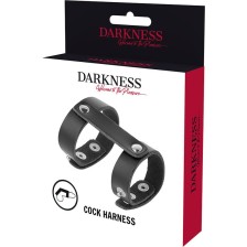 DARKNESS - ADJUSTABLE LEATHER PENIS AND TESTICLES RING