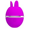 PRETTY LOVE - GEMINI BALL PURPLE ROUND SILICONE VIBRATOR