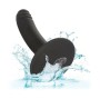 CALEXOTICS - GODE BOUNDLESS 12 CM COMPATIBLE AVEC HARNAIS