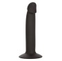 CALEXOTICS - STUDIO ANALE SOTTILE