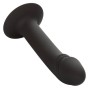 CALEXOTICS - STUD ANAL COURB?