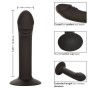 CALEXOTICS - GEBOGENER ANALSTUDIE