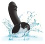 CALEXOTICS - GEBOGENER ANALSTUDIE
