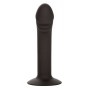 CALEXOTICS - STUDIO ANALE CURVO
