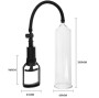 PRETTY LOVE - ALEXANDER ERECTION PUMP