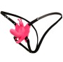 BAILE - HARNAIS PAPILLON VIBRANT ULTRA PASSIONN?