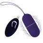 INTENSE - FLIPPY I VIBRATING OGG COM CONTROLE REMOTO ROXO