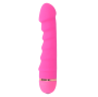 INTENSE - SALLY 20 VELOCIDADES SILICONE ROSA