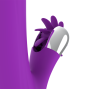 FUN FUNCTION - BUNNY FUNNY ROTATION 2.0