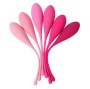 LESLIE - KEGEL FIT PELVIC MUSCLE TRAINING SET 6 STÜCKE
