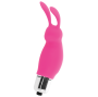 INTENSE - RABBIT ROGER ROSA