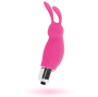 INTENSE - LAPIN ROGER ROSA