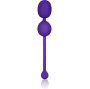 CALEXOTICS - RICARICABILE DUAL KEGEL VIOLA