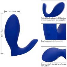 CALEXOTICS - ADMIRAL STIMULATEUR ET VIBRATEUR DE PROSTATE RIMMING BLEU