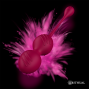 RITHUAL - BALLES DE KEGEL VIBRANTES RECHARGEABLES NISHA ORCHIDÉE