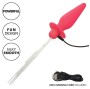 CALEXOTICS - SOUTHERN LIGHTS LIGHT UP LEUCHTENDE ANALSTECKER 10 VIBRATIONEN SILIKON ROSA