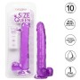 CALEXOTICS - GODE REINE TAILLE VIOLET 25.5 CM