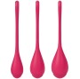 SATISFYER - YONI POWER 1 TRAINING SET RED
