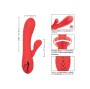 CALEXOTICS - PALISADES ROSSO PASSIONE