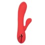 CALEXOTICS - PALISADES PASSION RED