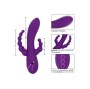 CALEXOTICS - LONG BEACH BOOTYLICIOUS VIOLA