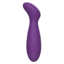 REWOLUTION - REWOPULSE FLEXIBLER VIBRATOR G-PUNKT-STIMULATOR