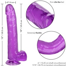 CALEXOTICS - DILDO REGINA TAGLIA VIOLA 25.5 CM