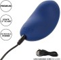 CALEXOTICS - CASHMERE VELOURS CURVE BLEU