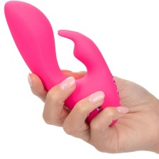 CALEXOTICS - ASSIM. CAL...