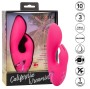 CALEXOTICS - DONC. VIBRATEUR CAL SUNSHINE RABBIT FUCHSIA PAR CALIFORNIA DREAMING