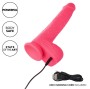 CALEXOTICS - STUDS REALISTIC VIBRATOR 10 VIBRATIONS PINK