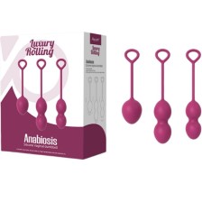 ARMONY - ANABIOSIS VAGINAL DUMBBELL 3 LEVELS BURGUNDY